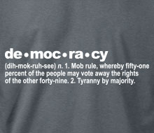 The Definition of Democracy - Hoodie